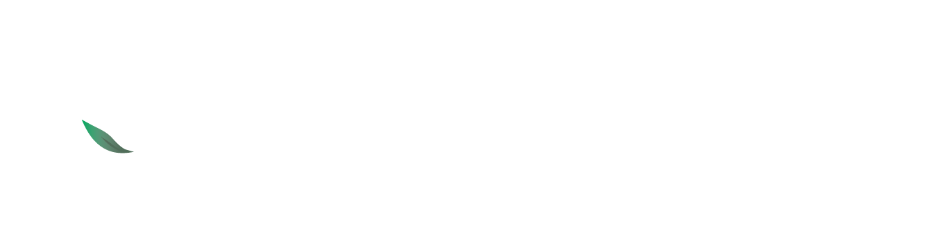 Raintree Capital Inc.